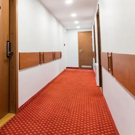 Mirka - 40 M2